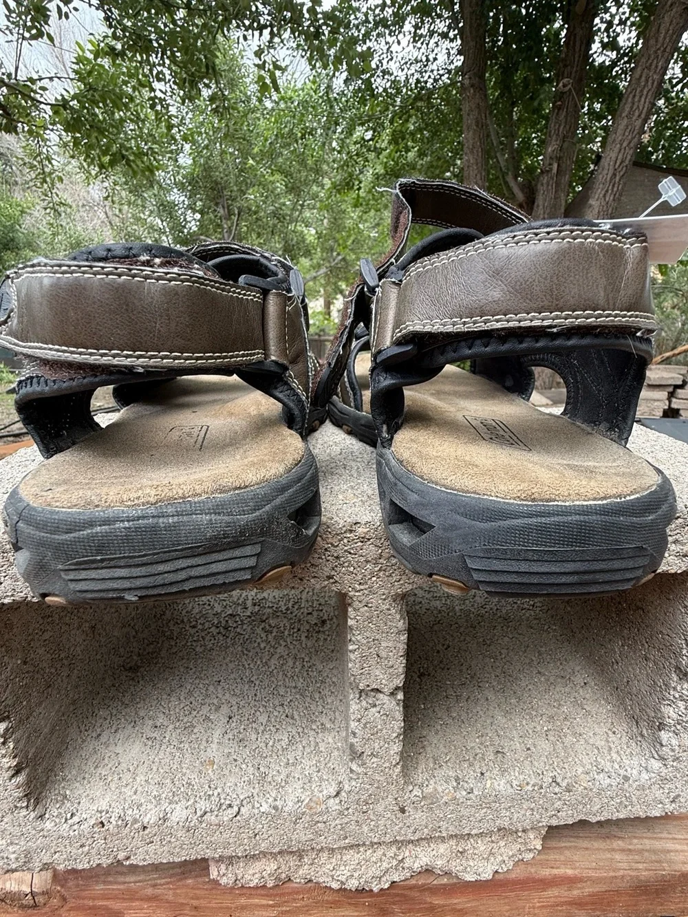 Coleman Waverider II Men's Sport Sandals